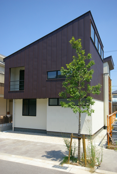 Kazu-02