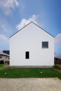 haus-turf